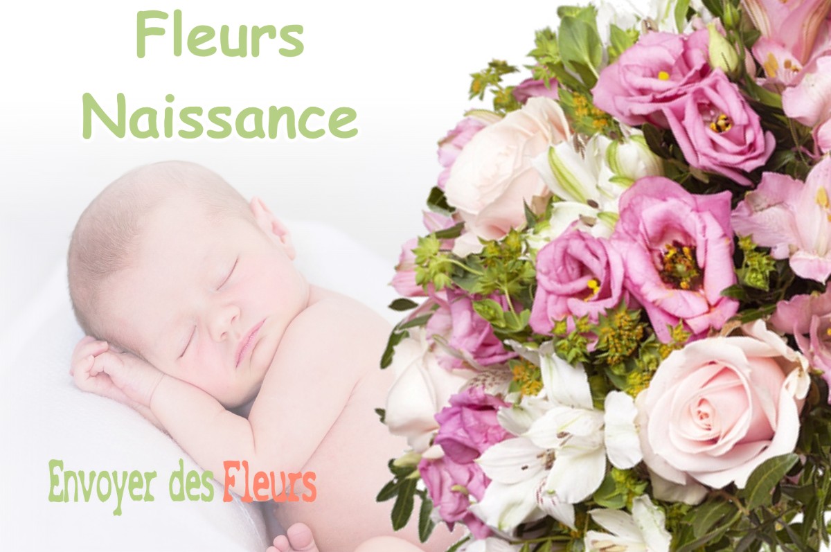 lIVRAISON FLEURS NAISSANCE à ROUFFANGE